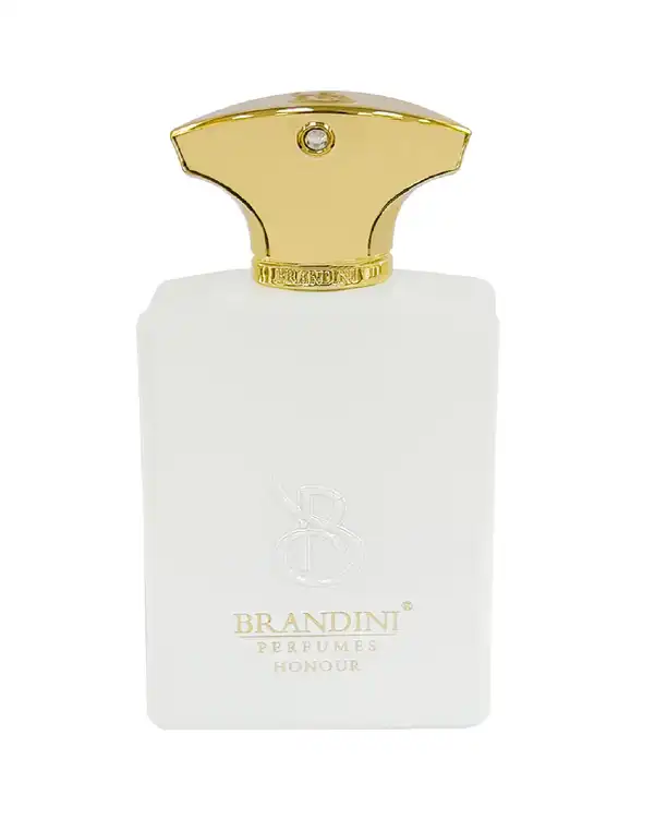 عطر ادکلن Amouage -Memoir men 33 ml برندینی