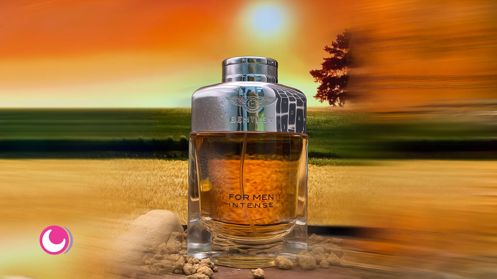 عطر ادکلن بنتلی اینتنس (Bentley Intense)